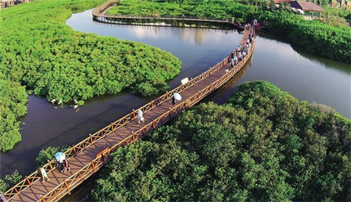 柴火石锅鱼火锅