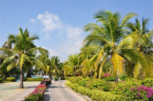 蜀神砂器串串香