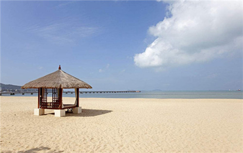 有芝青年芝士焗饭