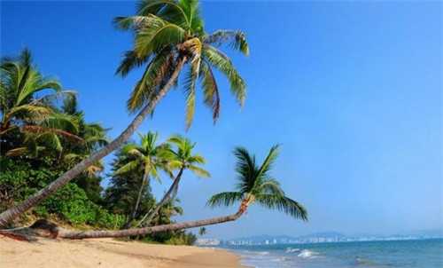 在贺州市加盟山花牛奶开店好不好，在贺州市比较知名的奶吧品牌是哪个